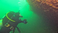 Underwater View Monhegan Island