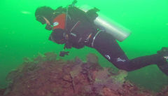 Diving Off Monhegan Island