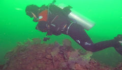 Diving Off Monhegan Island