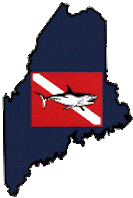 Dive Fish Logo