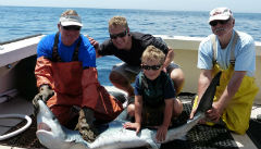 Tagging & Releasing a Blue Shark